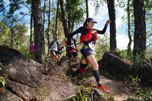 BIB: 
                            <button type="button" onclick="openModal(18916573)" class="btn btn-primary btn-sm float-right btn-popup" data-toggle="modal" data-target=".modal-high-quality">
                        <i class="fas fa-shopping-cart"></i> Add to Cart
                    </button>
                                            <button type="button" onclick="isThisMe(18916573, true)" class="btn btn-success btn-sm float-right btn-popup btn-isme hidden" data-toggle="tooltip" data-placement="bottom" title="นี่คือรูปของคุณใช่ไหม คลิกที่นี่เพื่อเอาเข้าอัลบั้ม">
                        <i class="fas fa-plus"></i> Add to album
                    </button>
                    <button type="button" onclick="isThisMe(18916573, false)" class="btn btn-warning btn-sm float-right btn-popup btn-isnotme hidden">
                        <i class="fas fa-ban"></i> Remove from album
                    </button>